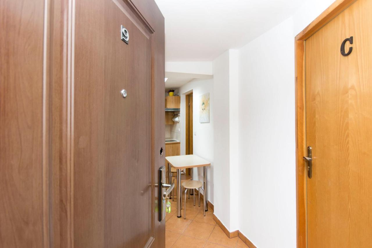 Auberge de jeunesse Akademikus Stary Toruń Extérieur photo
