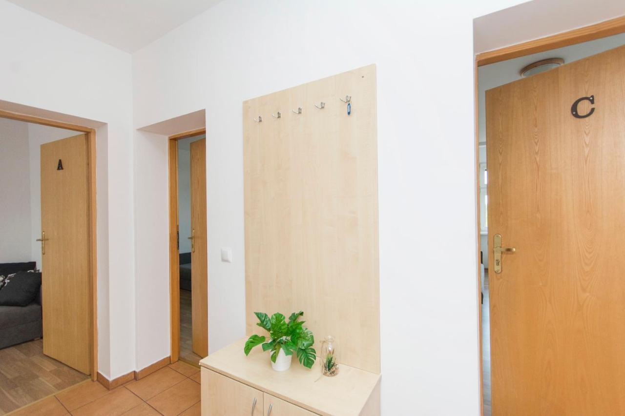 Auberge de jeunesse Akademikus Stary Toruń Extérieur photo